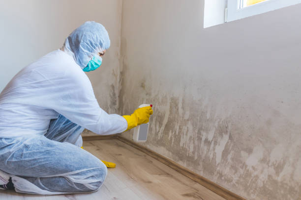 Licensed Mold Testing service in Marshall, MI - WQB Mold Removal
