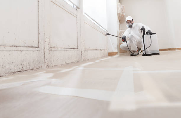24/7 Emergency Mold Testing experts in Marshall, MI