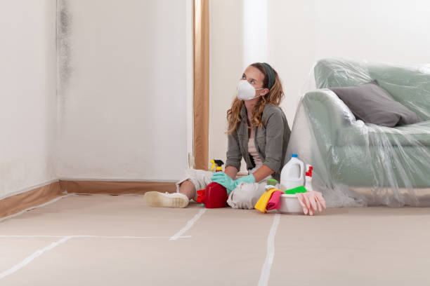 Reliable Mold Testing contractor in Marshall, MI by WQB Mold Removal