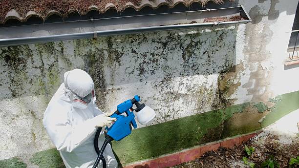 Top rated local Mold Testing specialists in Marshall, MI